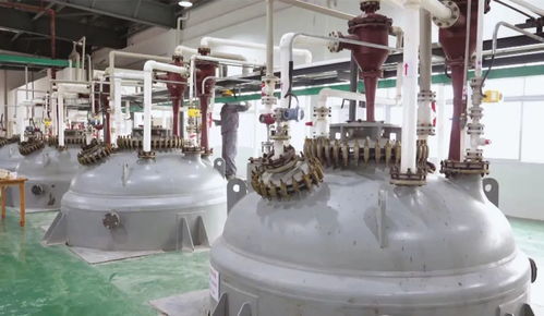 枝江環(huán)?？萍?打造一流營商環(huán)境，鑄就綠色發(fā)展品牌