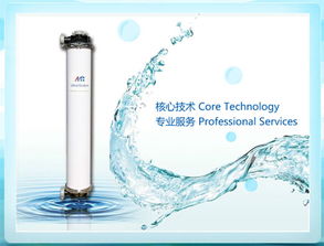 攜手共創(chuàng)綠色未來 上海網(wǎng)站建設(shè)與膜芮環(huán)?？萍颊胶灱s